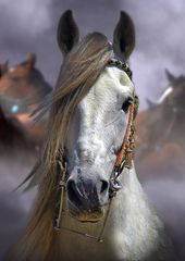 Random generated image - 2025-01-16 15:46:02